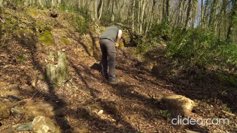 Building a Forest House in 30 DAYS