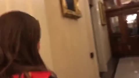 NEW Footage of Ashley Babbitt Just Before The Incident