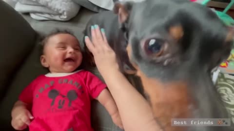 Funny Cute Little Babies Loves to Play with Animals