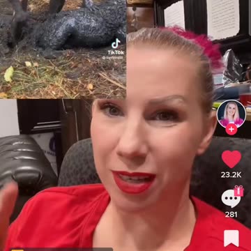 Jesus is my Shepherd