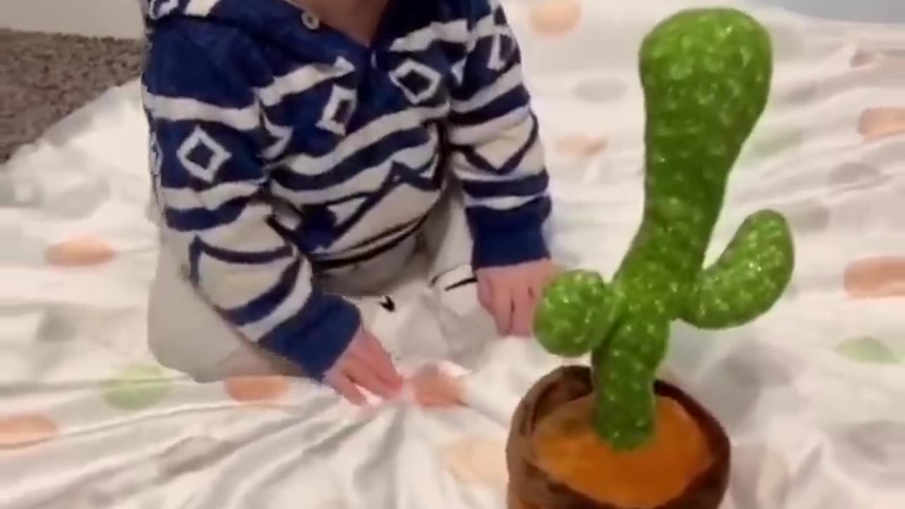 Babies funny reactions to the dancing cactus toy--__funny babies