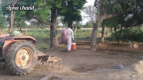 Village life punjab vlogs