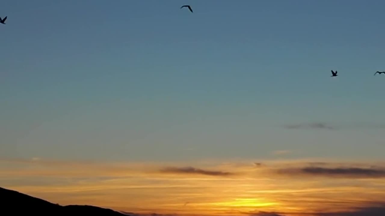 Beautiful view