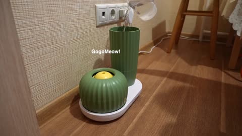 Cactus GogoMeow Pet Fountain