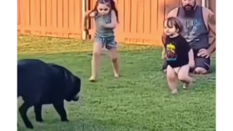 Cute kid playing with dog