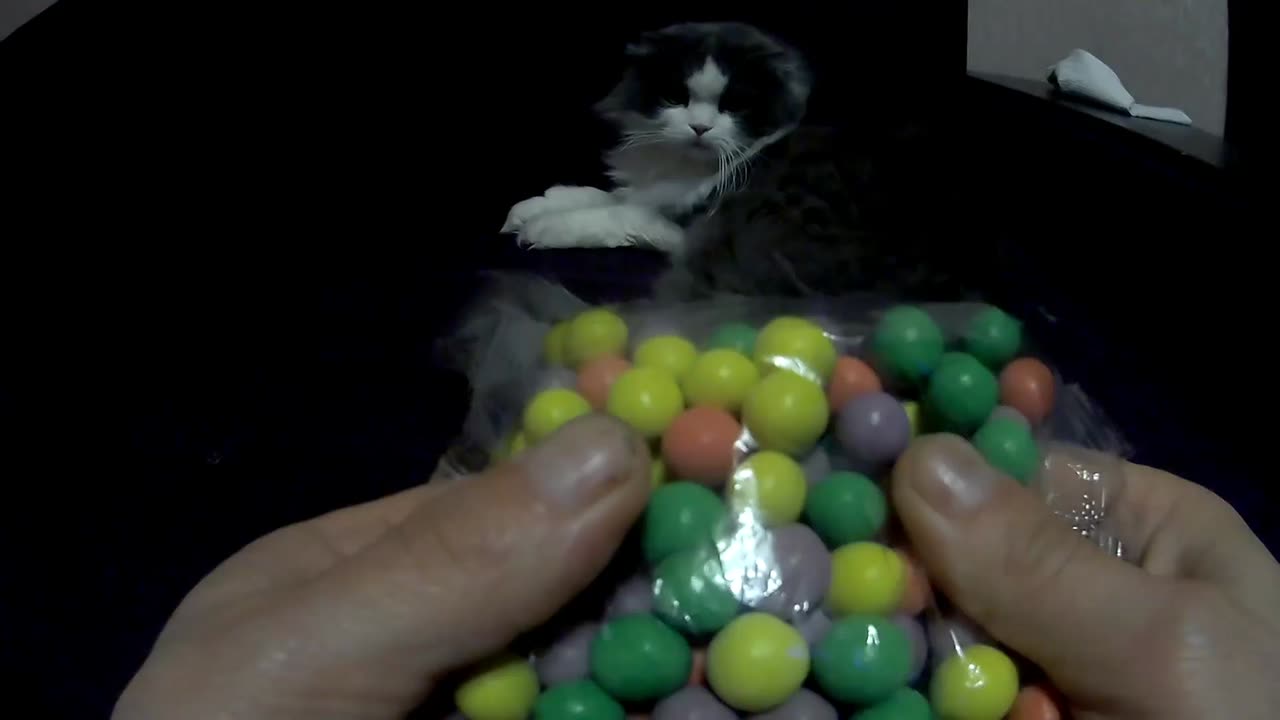 Satisfying ASMR Magic Rainbow Candy Mixing