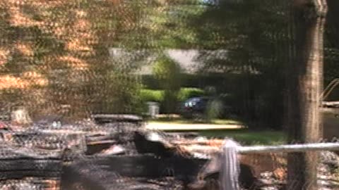 📢They're Burning💥 Down Houses!!!😡