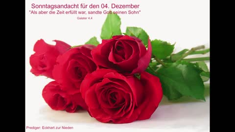 Sonntagsandacht für den 04. Dezember