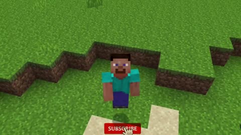 Minecraft amazing life hacks Finally Revealed