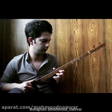 Beautiful and modern playing of setar