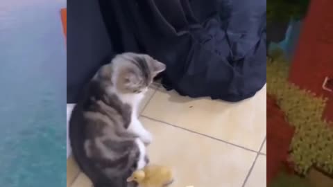 A New Friend😂