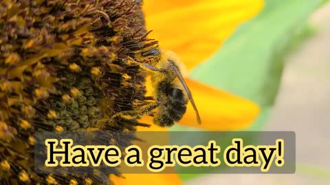 Have A Great Day!