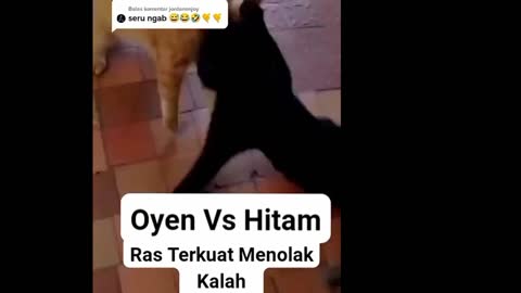 si oyen vs si black for magic