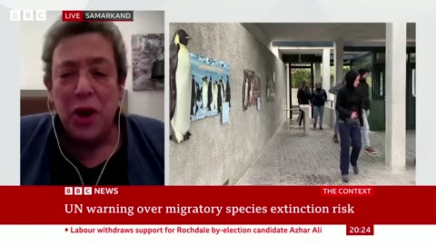Migrating species crucial to planet underthreat, says UN | BBC News