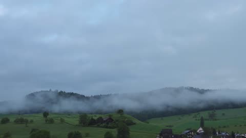 Vidéo: buée, paysage,forêt