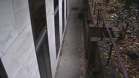 1457HSOB01GroundSoutheast_2021-01-06_12h35min37s047ms.mp4