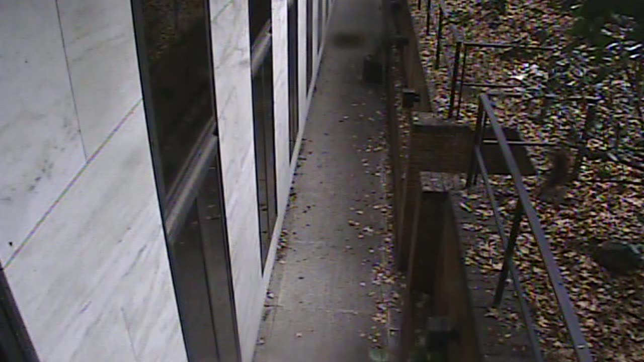 1457HSOB01GroundSoutheast_2021-01-06_12h35min37s047ms.mp4