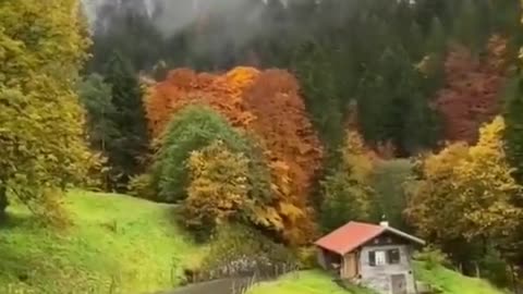 Free Stock Video For Everyone No Money - Amazing Autumn In Switzerland