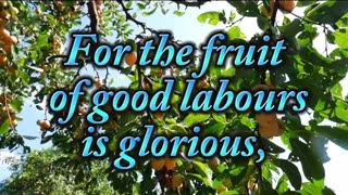 WISDOM 3:15 BIBLE VERSES GOD'S MESSAGES