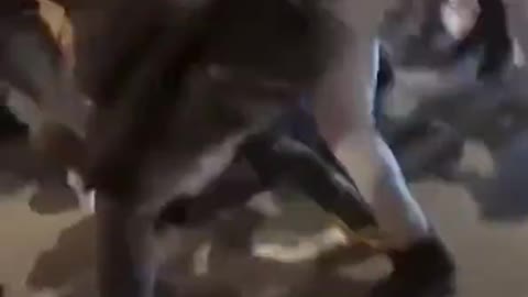 Mob Of Chicago Teens Attack Innocent Bus Driver