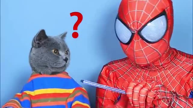 Spider-man_ Magic_ I'll Reveal Your Secret🤨_ Funny Magic Challenge #funnycat #catsoftiktok #shorts