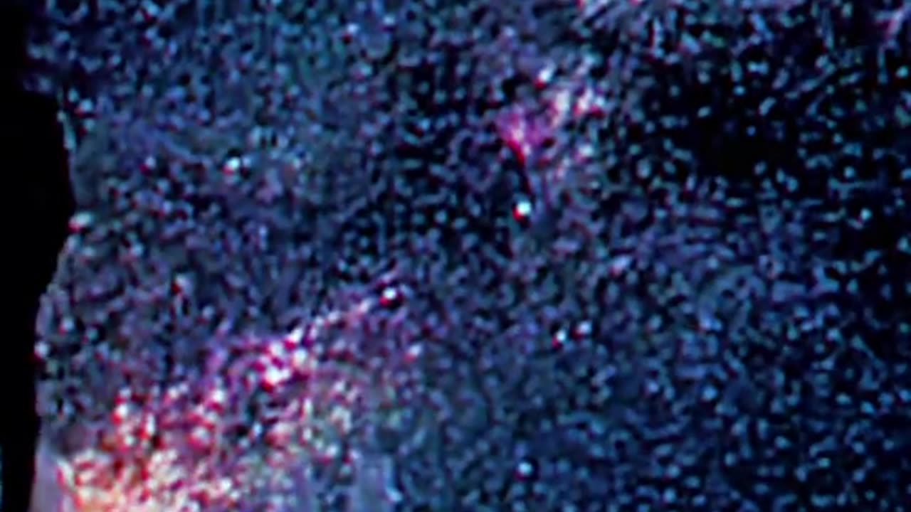 How are you feeling 🤔💖to get a new 🆕🆕