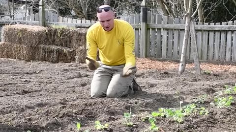 Planting Day pt3