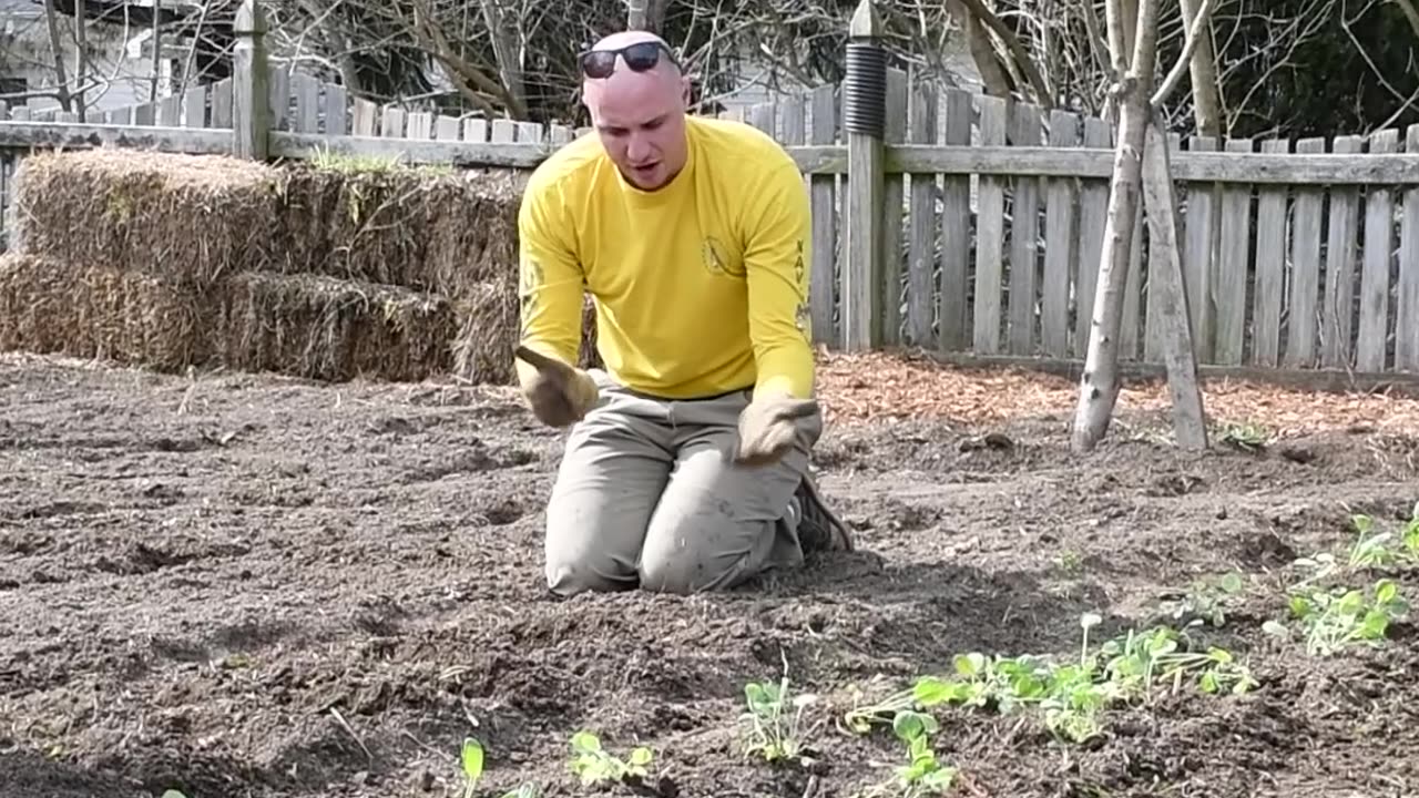 Planting Day pt3