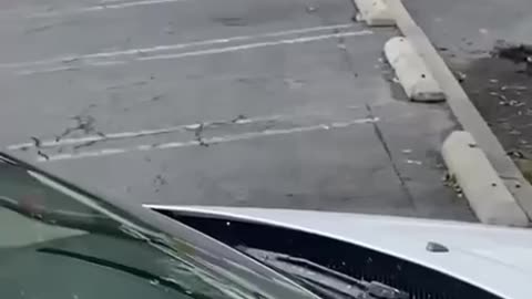 A genius has created a pigeon drone that shits on parked cars.
