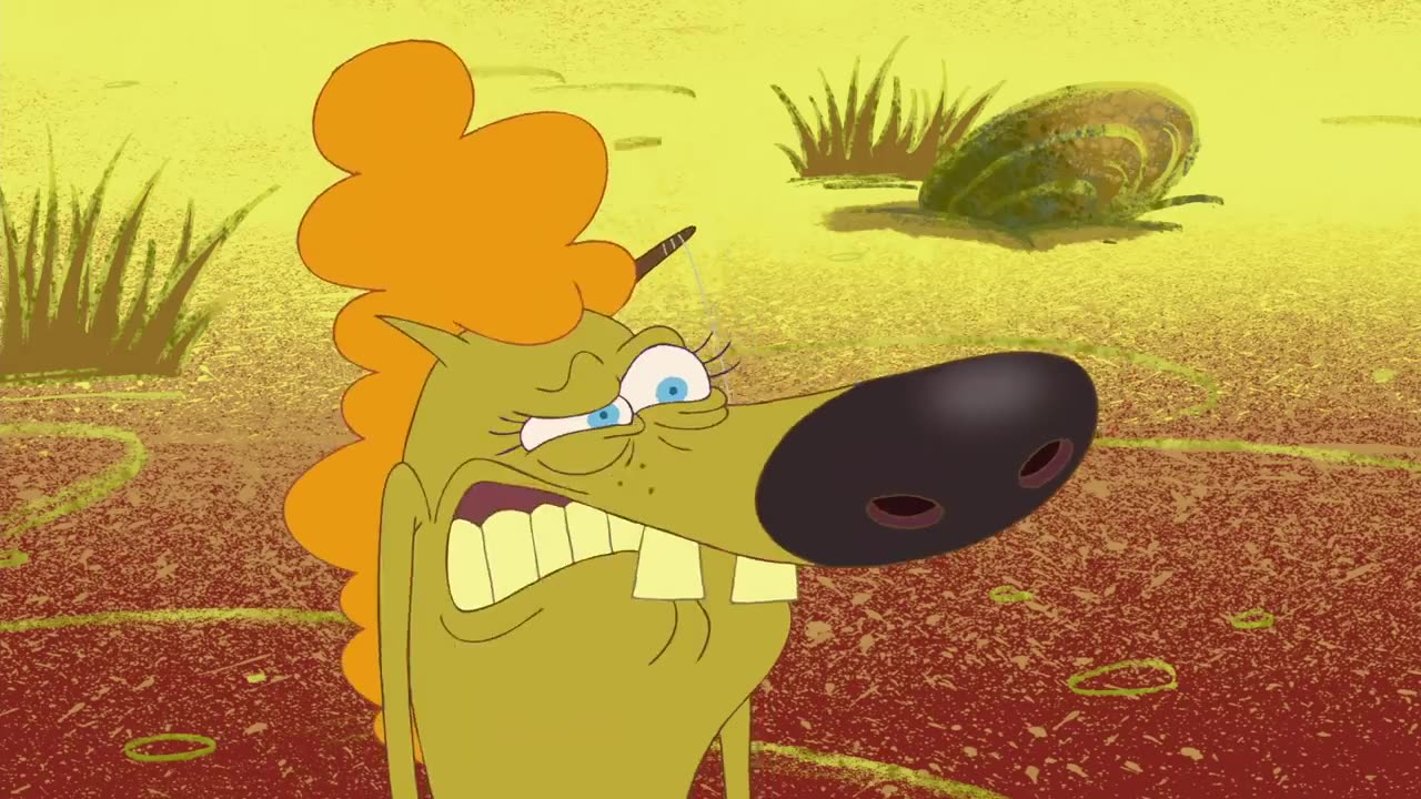 ZIG and sharko