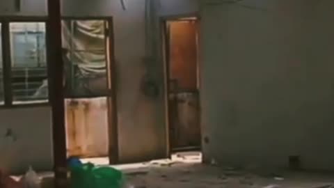 aftermath fight several destroy vehicles bodies scattered on ground #destroyed #several #viralshort