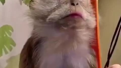 This is the real relief I felt sleepy