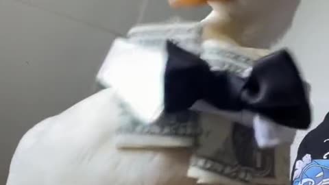 The person who sentYou this