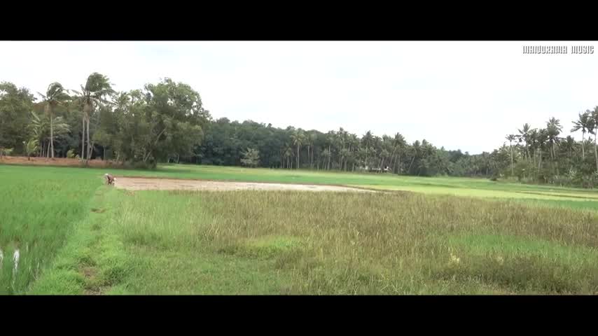 45_Pularithuruthil Onam Video Song
