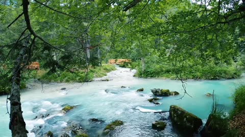 Nature video with relaxing video