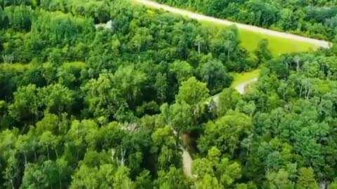 Background video pemandangan alam