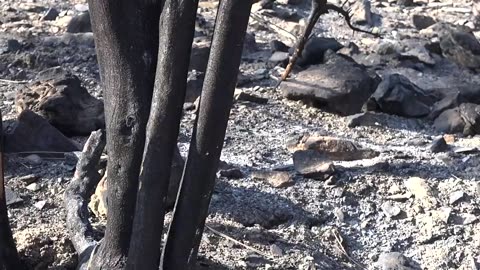 5 Natural Disasters Humans Cannot Prevent