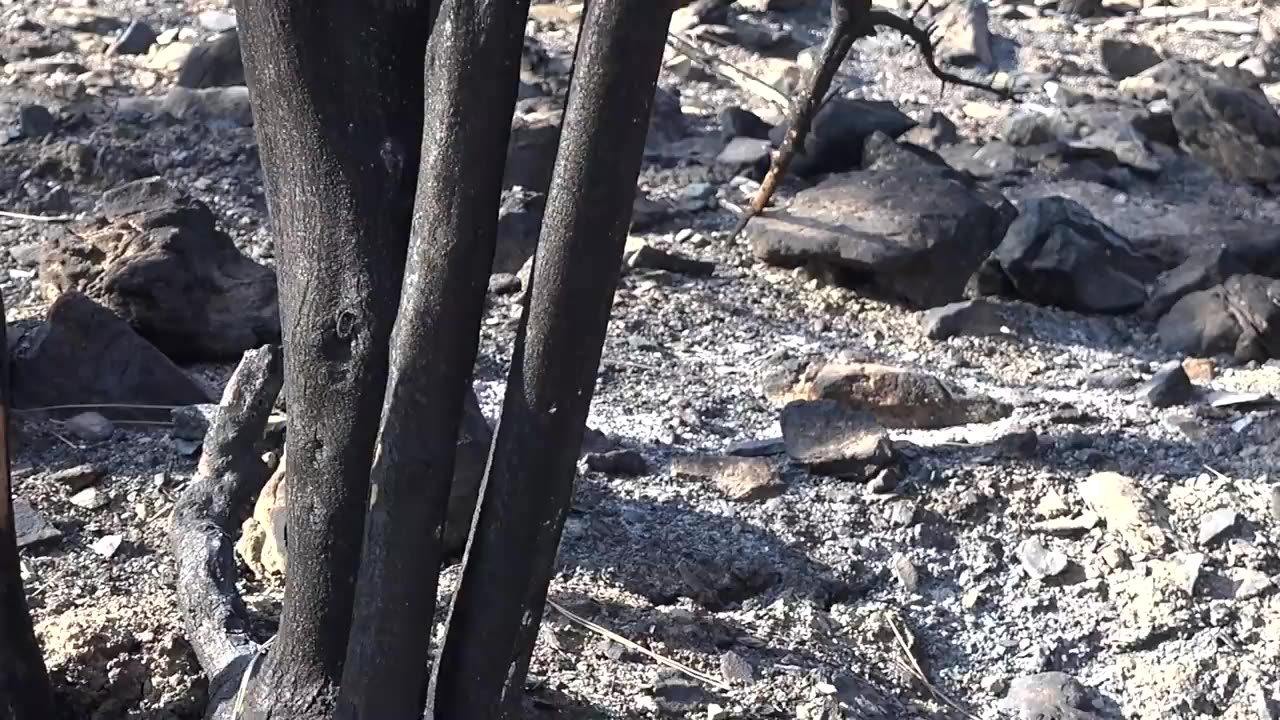 5 Natural Disasters Humans Cannot Prevent