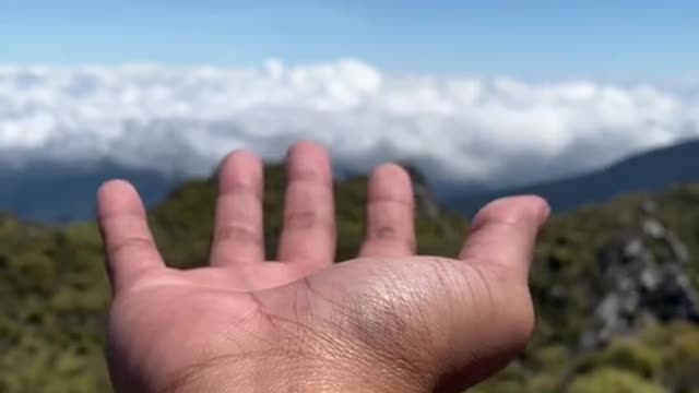 Nature really hit different