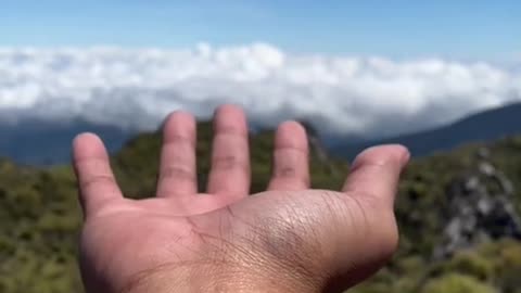 Nature really hit different