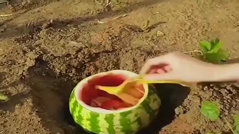 planthacks lifehacks