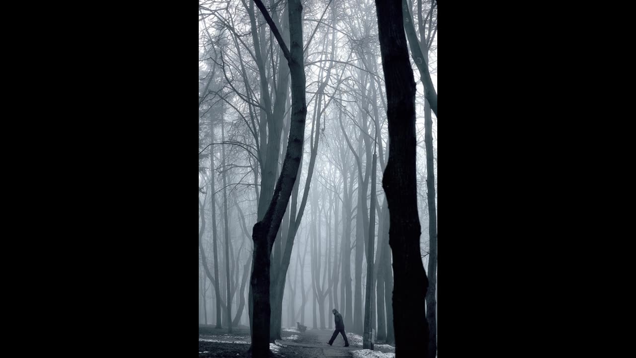 Genesis The GreyKid - Grey Skies 2 Mixtape
