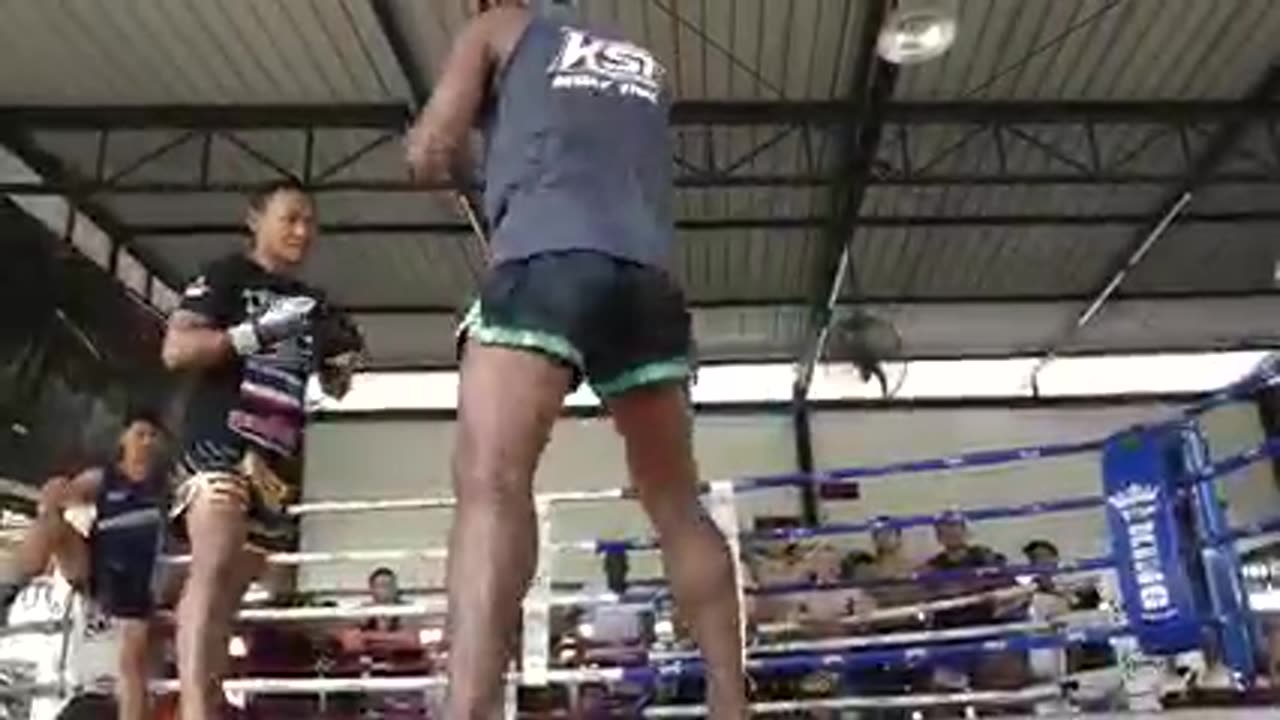 Joe Rogan Is A Beast