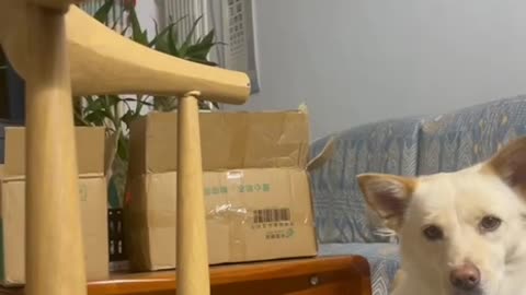 Very good shot 🤣