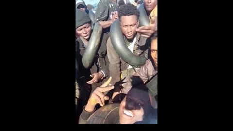 Denial Deceit and Delusion podcast #72