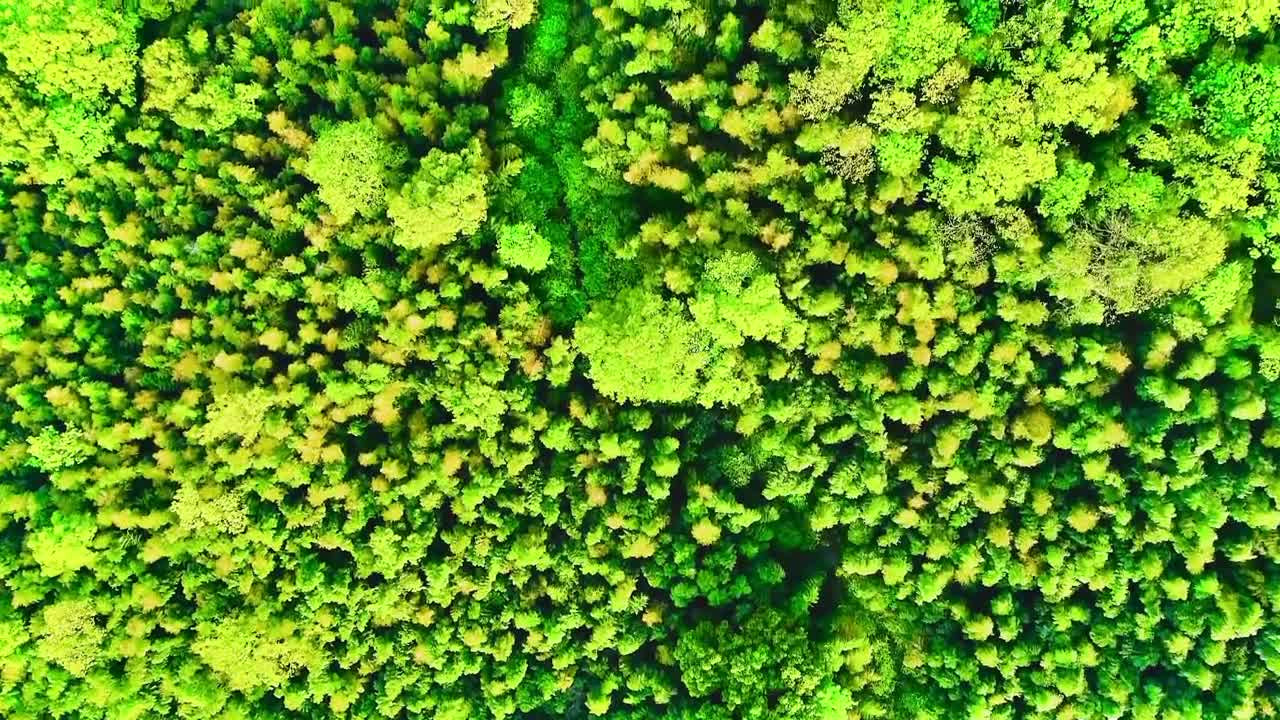 Ecological holy land
