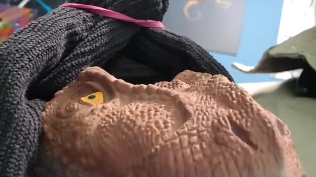 Singing = Entertainment 😂🤣 when it's quiet Dino Doll!!!