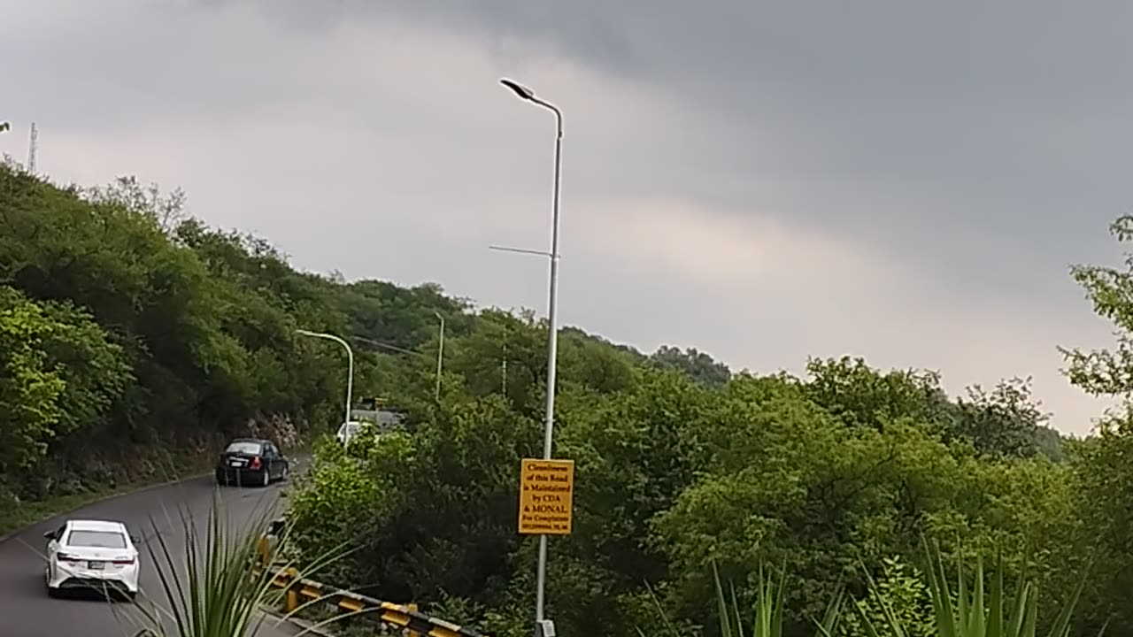 A peaceful view