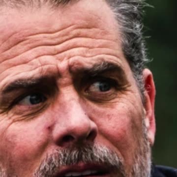 What in the HELL does Hunter Biden do for these companies?