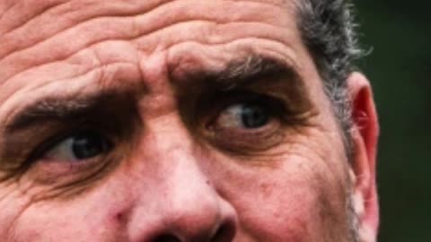 What in the HELL does Hunter Biden do for these companies?